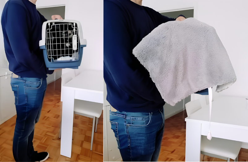 Cómo llevar a un gato al veterinario