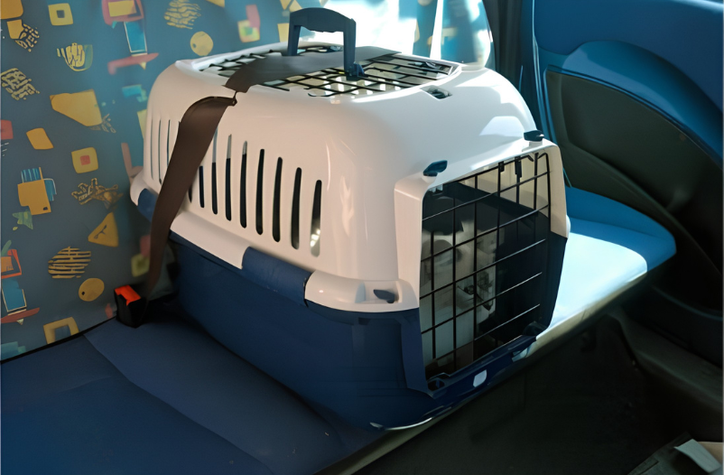 como llevar transportin en el coche